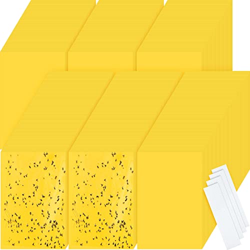 Qualirey 900 Pcs 6x8 Inch Yellow Sticky Traps for Gnats, Dual-Sided Sticky Gnat Traps for Indoor Outdoor, Fly Catcher for Fungus Gnats, Fruit Flies, Whiteflies&ndash; Bulk Pack with Twist Ties
