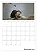The Otter Appointment Planner (Wall Calendar 2026 DIN A3 High), CALVENDO Monthly Calendar: Fishing Otter - Floating Marten