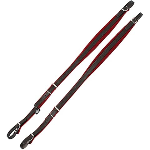 Alpenklang Accordion Straps Standard Red/Brown For 48 Bass Accordions Cover