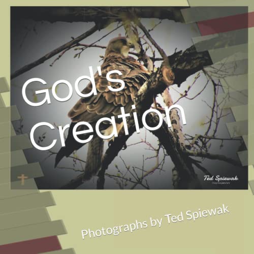 God's Creation: Photographs by Ted Spiewak
