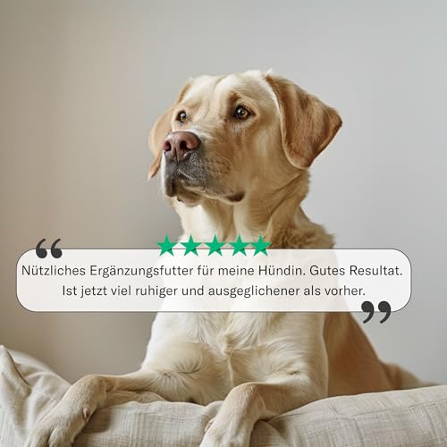 Feelings Control - Beruhigungsmittel für Hunde bei Angst, Stress & Unruhe - natürliche Anti-Stress Beruhigungstabletten bei Reisen, Feuerwerk & Nervosität - 90 Tabletten à 1000 mg - Sensipharm