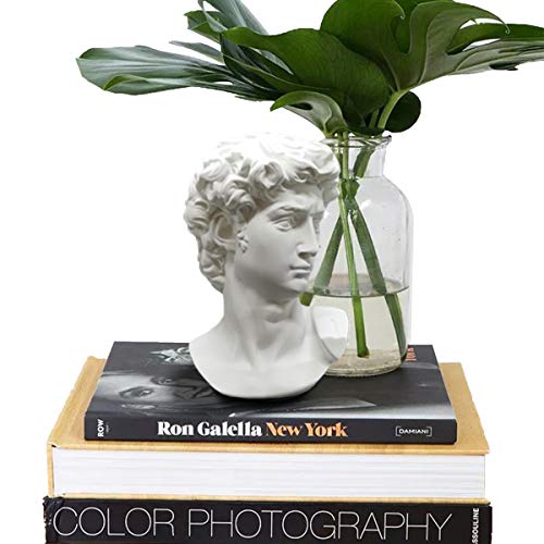 Busto Estatua Griega de David para Decoración miniatura 4
