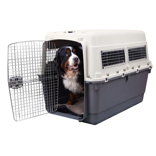 SportPet Airline Compliant XXX-LARGE 44' Travel Dog Kennel-Durable Plastic Airline Pet Carrier w/Removable Wheels & Food Bowls, Collapsible Indoor/Outdoor Dog Kennel, Dogs up to 44'L & 33'H-Cream/Gray
