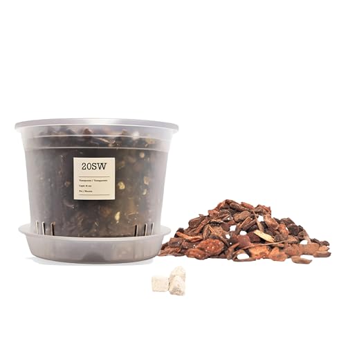 20SW Kit para Trasplantar Orquídeas – Maceta Semitransparente 16 cm con Fondo Elevado y Drenaje – Plato Incluido – 1L Sustrato Premium para Orquídeas – Abono Orgánico de Liberación Lenta