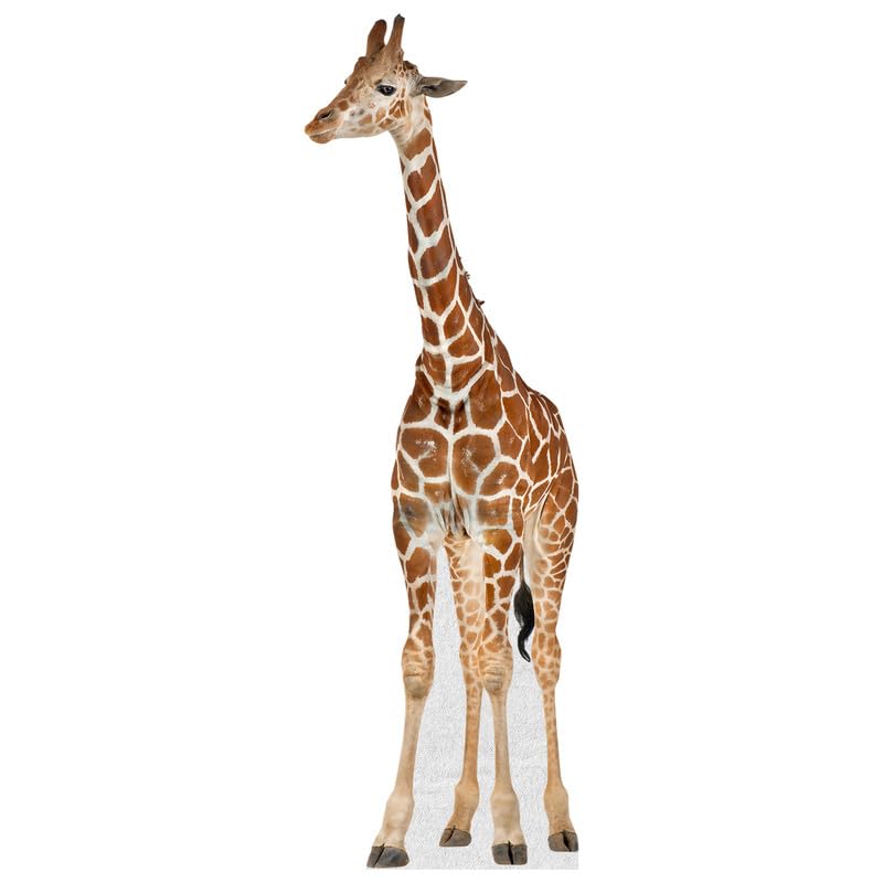 Giraffe - Life Size Cardboard Cutout Standup People with Support Standee | Animals -1