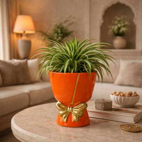 Image of Xtore Ceramic Bow Planter Figurine | Gloss Finish | Decorative Flower Pot for Home & Balcony - (Pack of 1, Orange, Planter ONLY)