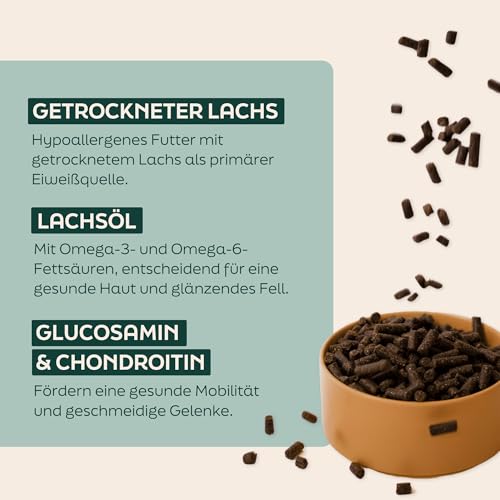 WOOOF Lachs 14kg kaltgepresstes Hundefutter mit Fisch | Trockenfutter, natürlichen Zutaten, Lachsöl & Ohne Weizengluten