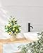 AceList 23 Inch Artificial Lemon Tree with Woven Basket, Faux Lemon Decor for Kitchen Table, Countertop, Bedroom, Office, Spring Summer Home Decoration, Idea