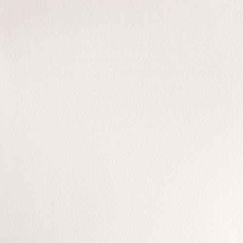 Winsor & Newton Half Pan Professional Water Colour, Chinese White