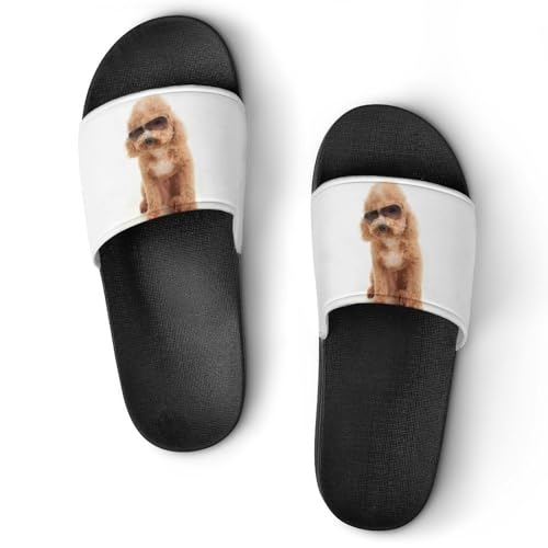 [ZKCASA] Xbp TOXgC v[h  [V[Y jp  T_ y OJ ~ 􂦂 p qp Cp v[g 42 (260mm)