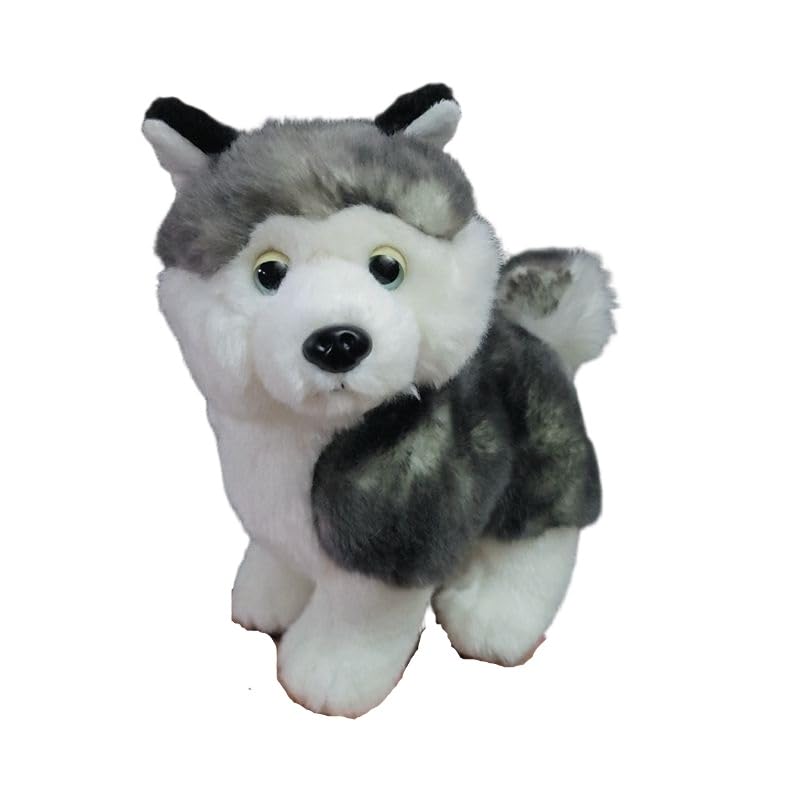 Peluche Husky cadeau original naissance anniversaire pour petits et grands enfants