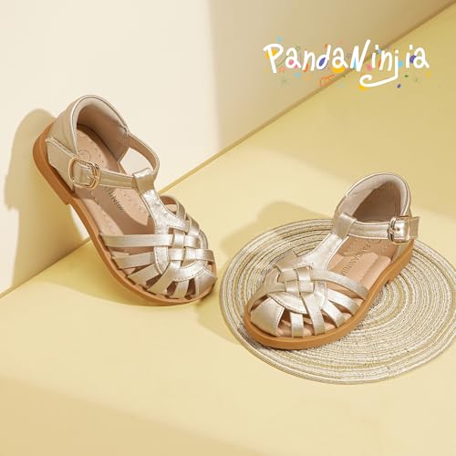 Image of PANDNAINJIA Toddler Girls Sandals T-Strap Dress Summer Shoes