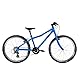 TechniBike PYRO TWENTYFOUR - Superleichtes 24 Zoll Kinderfahrrad für Mädchen und Jungen (MTB Lenker, Microshift 8-Gang Kettenschaltung, V-Brakes, Alu Laufräder, ergonomischer Velo Sattel, 8,5 kg)