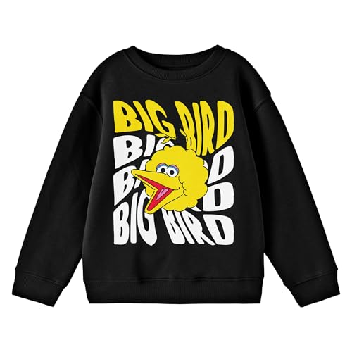 Amazon.com: Sesame Street Big Bird Face Twirl Text Crew Neck Long