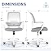 CELTOSS Ergonomic Mesh Office Chair, Mid Back Computer Desk Chair with Lumbar Support, Swivel, Height Adjustable, with Armrests, Gray