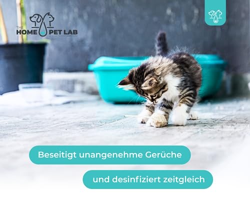 Anti Giardien Spray - RWC - Oberflächen Desinfektionsmittel für Hunde und Katzen - Effektives Hygienespray für Oberflächen mit Reinigungswirkung gegen Giardien, Viren, Bakterien & Pilze 500ml