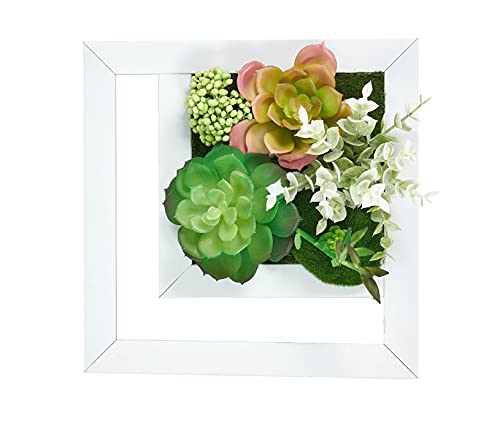 Room & Bloom Artificial Succulent Wall Art Flower Decor Kitchen Decorations Lounge Room Dining Room Picture 3D Living Room Floral Framed Fake Faux Hanging Succulents House Decor Green Hanger 10" X 10" #TOP6