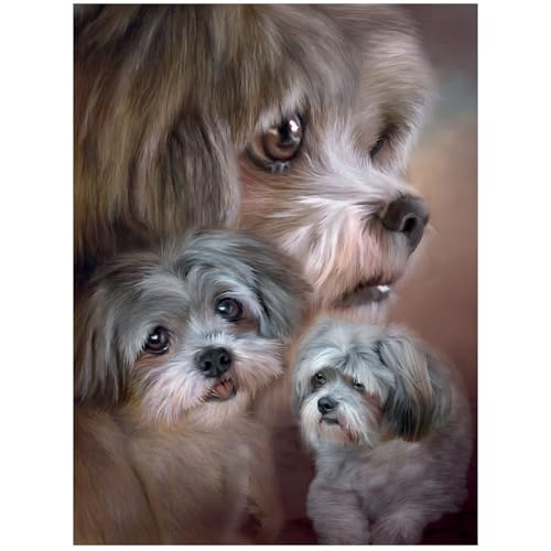3D LiveLife Impression murale lenticulaire – Lhassa Apso de Deluxebase. Poster 3D sans cadre pour un remplissage mural parfait.