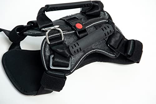 DogMaster 2.0 Hundesicherheitsgurt, schwarz/Black, Größe XL