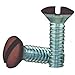 EATON Wiring BP231B-SP Wall Plate Screw, Brown