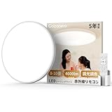 Coizabera LEDシーリングライト 8畳 10畳 4600lm 調光 調色 豆電球常夜灯 天井照明器具タイマー・メモリ機能 おしゃれ ledライト 蛍光灯 電気 リモコン付きCeiling Light 8畳 10畳 和室/洋室/寝室/玄関/リビング/キッチン適用 （赤外線リモコン）