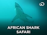  African Shark Safari