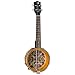 Luna Ulu 8-Inch Concert Banjolele