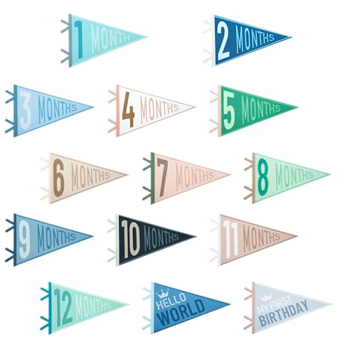 14 Pcs Baby Monthly Milestone Felt Pennant, LIOUCBD Month Baby