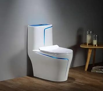 Floor Mounted One Piece Ceramic Western Toilet/Commode/European Commode/Water Closet Syphonic Toronto Flusing S Trap 12