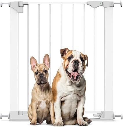 Barrière de sécurité pour chien extra basse Bettacare SafeStep ajustable