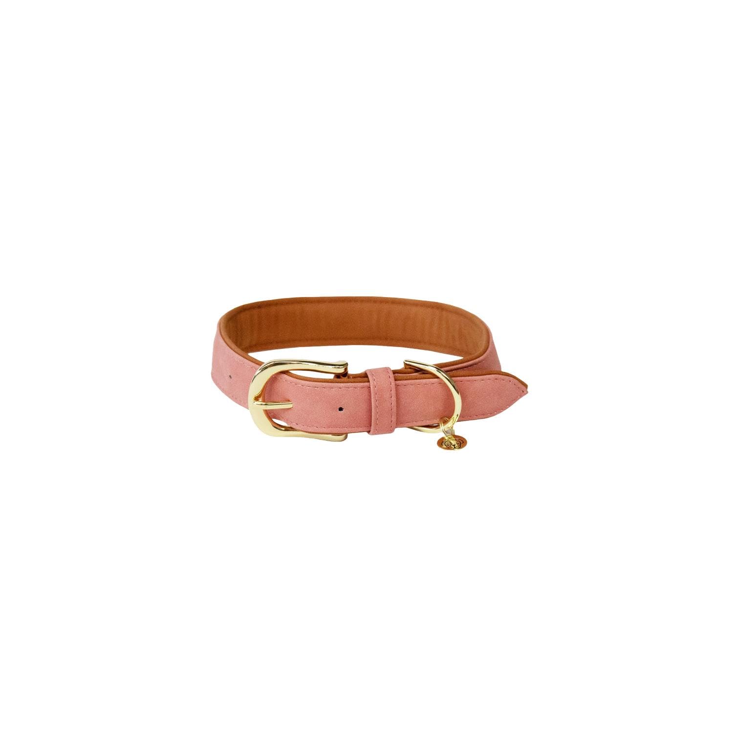 Collier pour chien Kentucky XL cuir de prestige et finition pêche