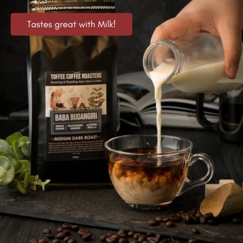 Image of Toffee Coffee Roasters Baba Budangiri - Medium Dark Roast | Whole Beans 250g | 100% Arabica | Specialty Coffee | Freshly Roasted Coffee | Notes: Toasted Nuts, Earthy and Dark Chocolate (Pack of 3)