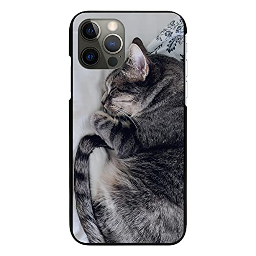 arrows We2 F-52E p P[X ubN Jo[ X}zP[X X}zJo[ ^ sc778(C) L ˂ lR  Aj} gуP[X gуJo[ n[h v