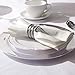 bUCLA 100Pieces Silver Plastic Plates - 10.25inch Silver Rim Disposable Dinner Plates - Ideal for Weddings, Parties&Christmas
