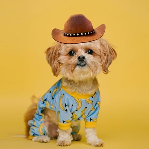 AWOCAN Cowboyhut für Hunde und Katzen, mit Bandana-Schal, Mini-Haustierkostüm für Halloween, Urlaub, Party-Dekoration (braun, groß)