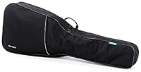 Algopix Similar Product 13 - Gewa 211100 Basic Gig Bag for Classical