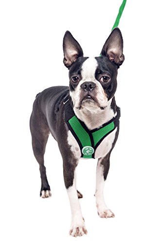 Gooby - X Harness, Small Dog Choke Free Step-In Harness With Synthetic Lambskin Soft Strap, Hunter Green, Small #TOP4