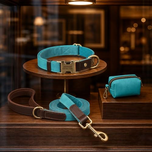 Image of Personalized Dog Collars, Quick Release Buckle, Light Blue,L