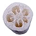 Villine Natural Loofah Sponge Bulk for DIY Homemade Exfoliating Soap Bar Making 100% Organic 6 Luffa Pack