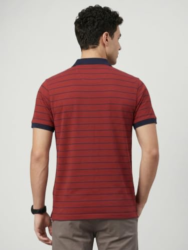 Image of Park Avenue Men Slim Fit Stripe Pattern Pure Cotton Polo Neck Half Sleeve Casual T-Shirt