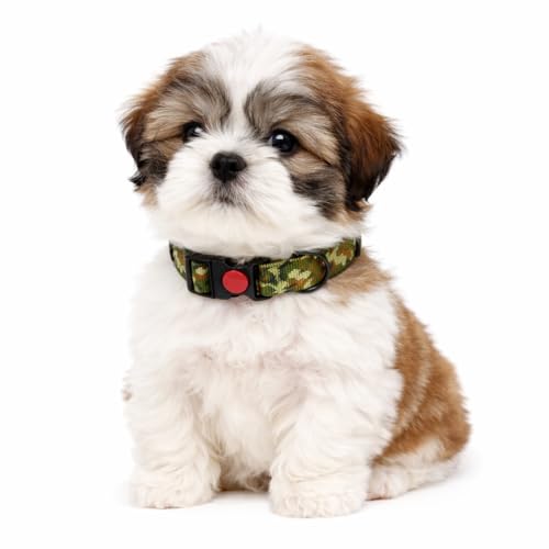 Image of Emily Pets Adjustable Dog Collar - Special Design Patterns, Soft Nylon Comfortable Durable Pet Collar for Small Medium Large Dogs (Army Green)