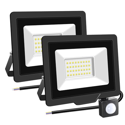 RIGIDON 2 Pcs PIR Motion Sensor Outdoor Security Light, 30W 3000 Lumens Outside Led Floodlight