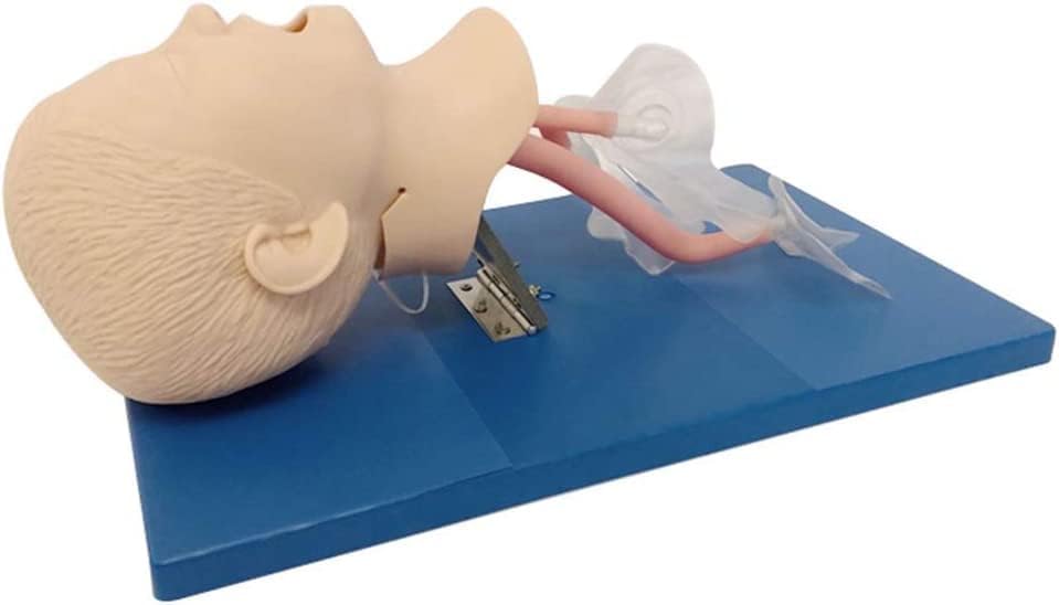 Manikin d'intubation nasale et orale AMITD en PVC avec tube pour formation médicale