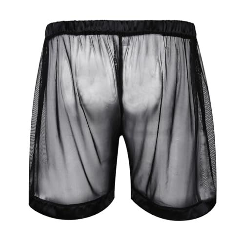 Men's Sheer Mesh Loose Boxer Shorts See Through Swimming Trunks Bottoms Breathable Panty Underwear2