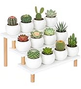 OcBuct 3 Tiered White Table Top Plant Stand,Wood Desktop Succulent Stand , Small Plant Shelf for ...