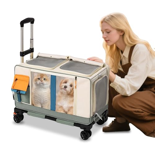 Rkrouco ybgg[P[X L  ܂肽ݎ ybg \tgTChLA lփLA LA LknhƃV_[Xgbv(x[WO[)