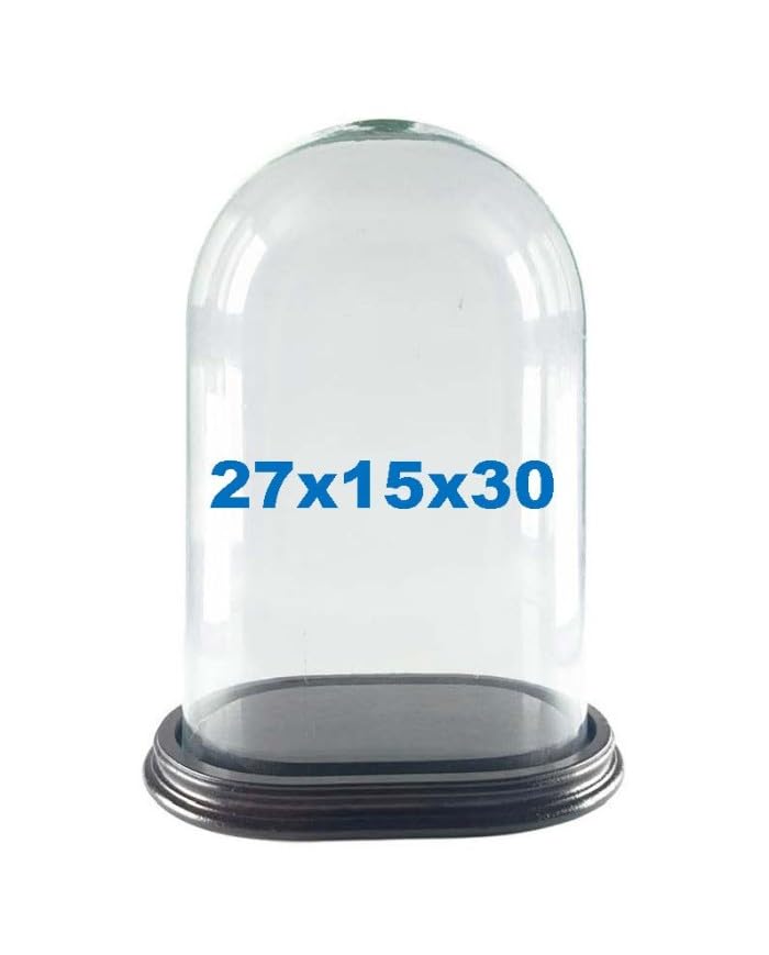 Chianese Campana Ovale Cupola di Vetro 27x15x30 con Base in Legno | Teca Espositiva Trasparente con Base in Legno | Campana di Vetro Grande per Decorazioni Centrotavola ed Esposizioni Eleganti