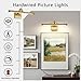 DESOOP Brass Picture Lights for Wall Hard-Wired LED Picture Lighting Dimmable Art Light Gallery Lighting for Wall Portraits Artwork 15.75 inch 7W Warm White