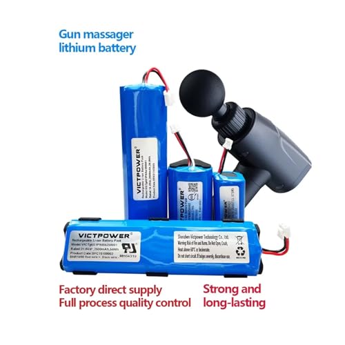 Batterie lithium 21,6 V robuste et durable 2500 mAh