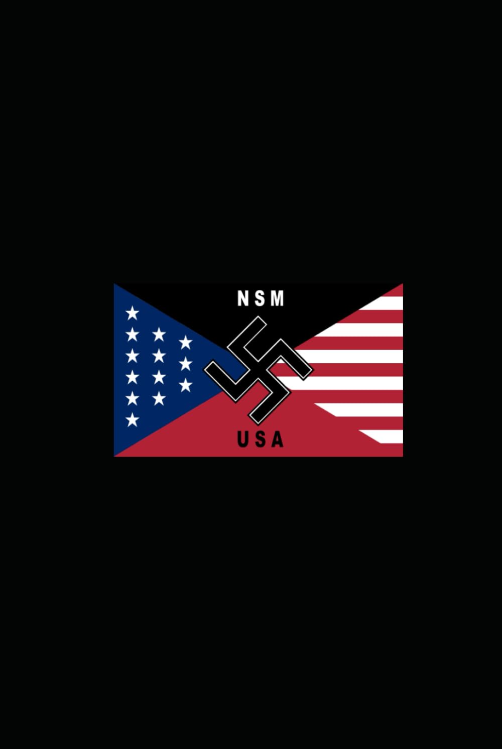 America and The Nazi Party: A comparison of American Politics and the Nazi Party of the 1930